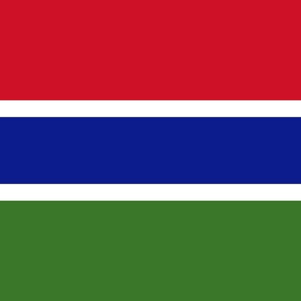 Gambia Presidential Election Winner