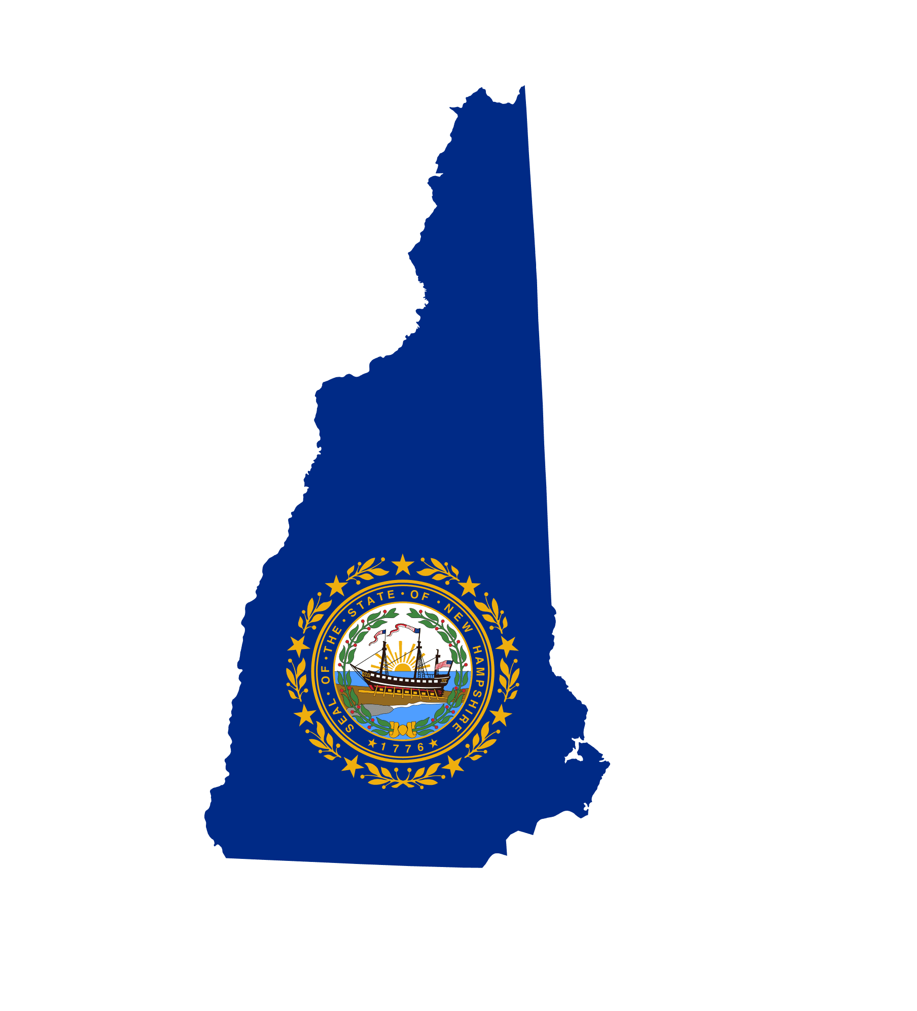 New Hampshire Senate Election Winner