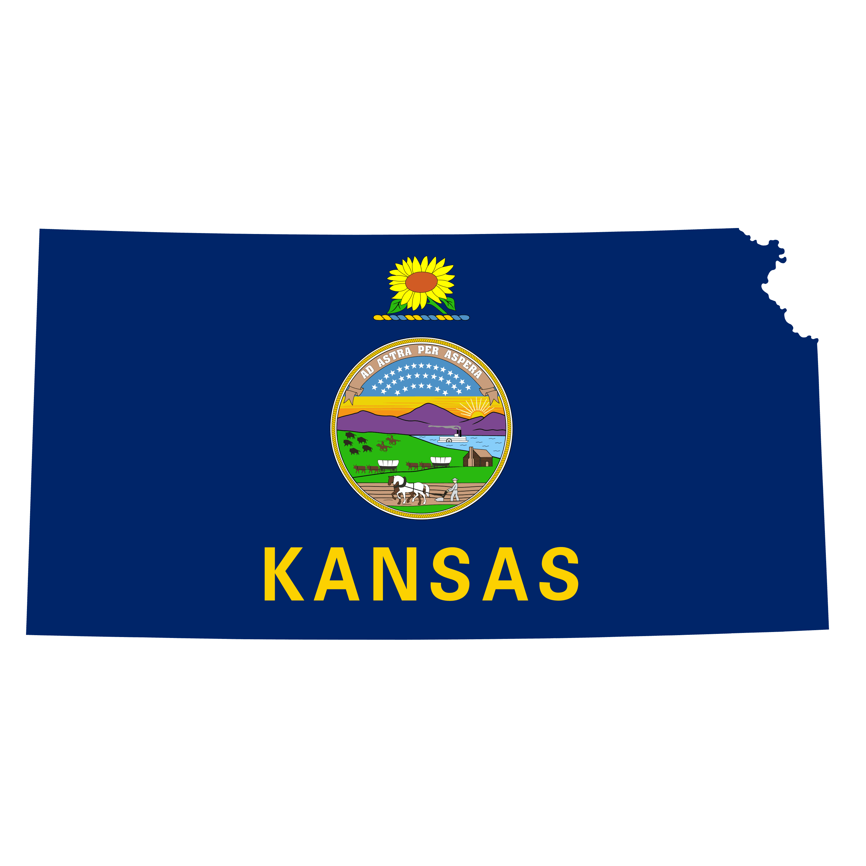 Kansas Senate Election Winner