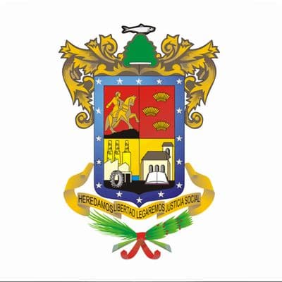 Michoacán Governor Election Winner