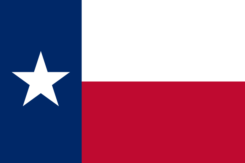 TX-06 House Election Winner