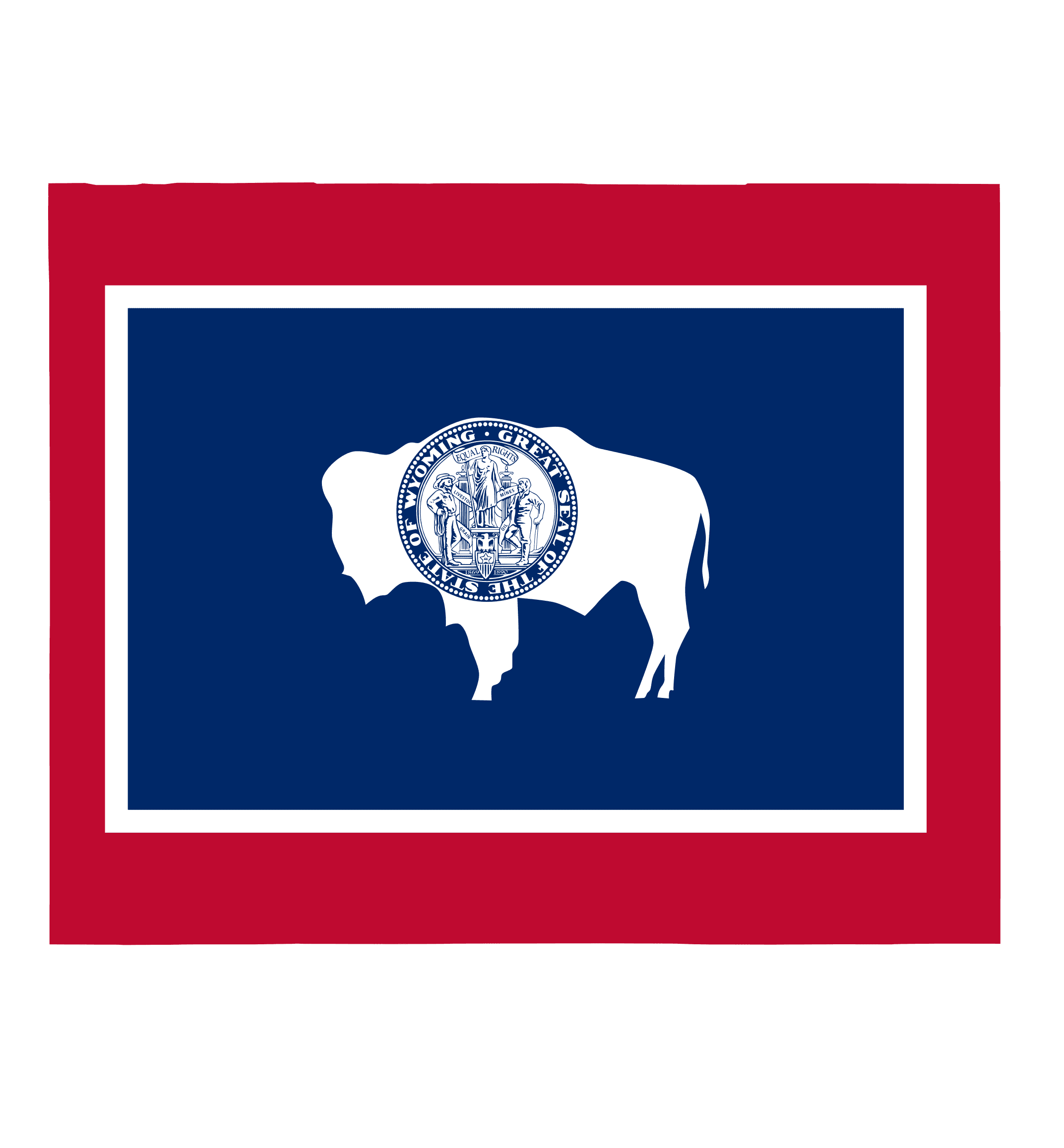Wyoming Senate Election Winner