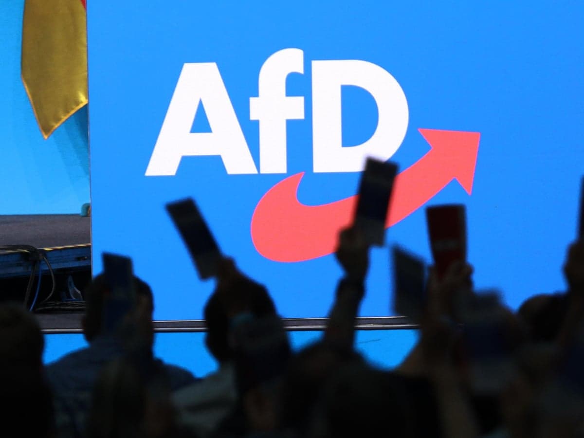 AfD wins the most seats in how many September state elections?
