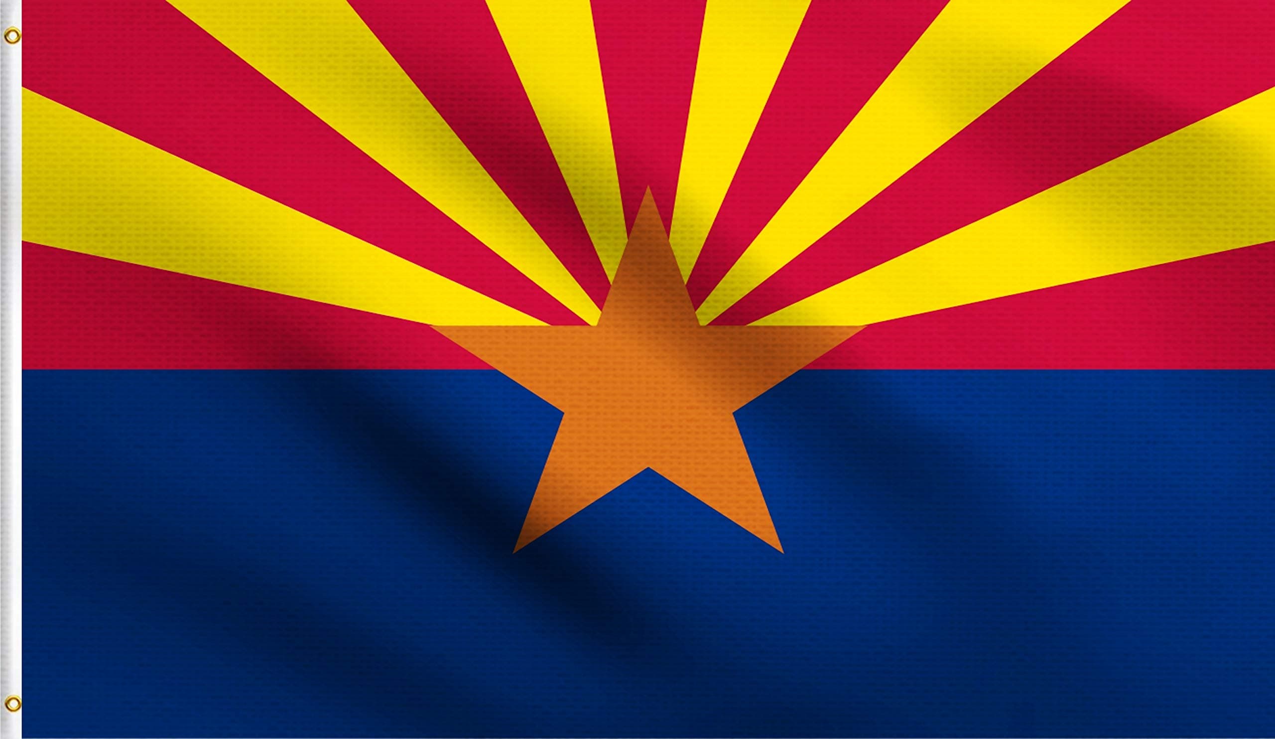 Arizona Governor Republican Primary Winner