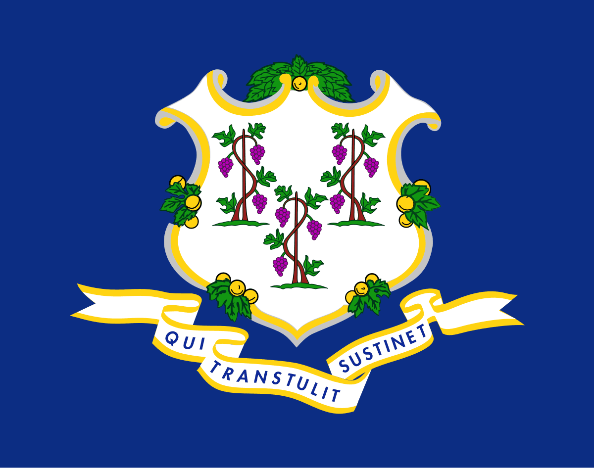 Connecticut Governor Republican Primary Winner