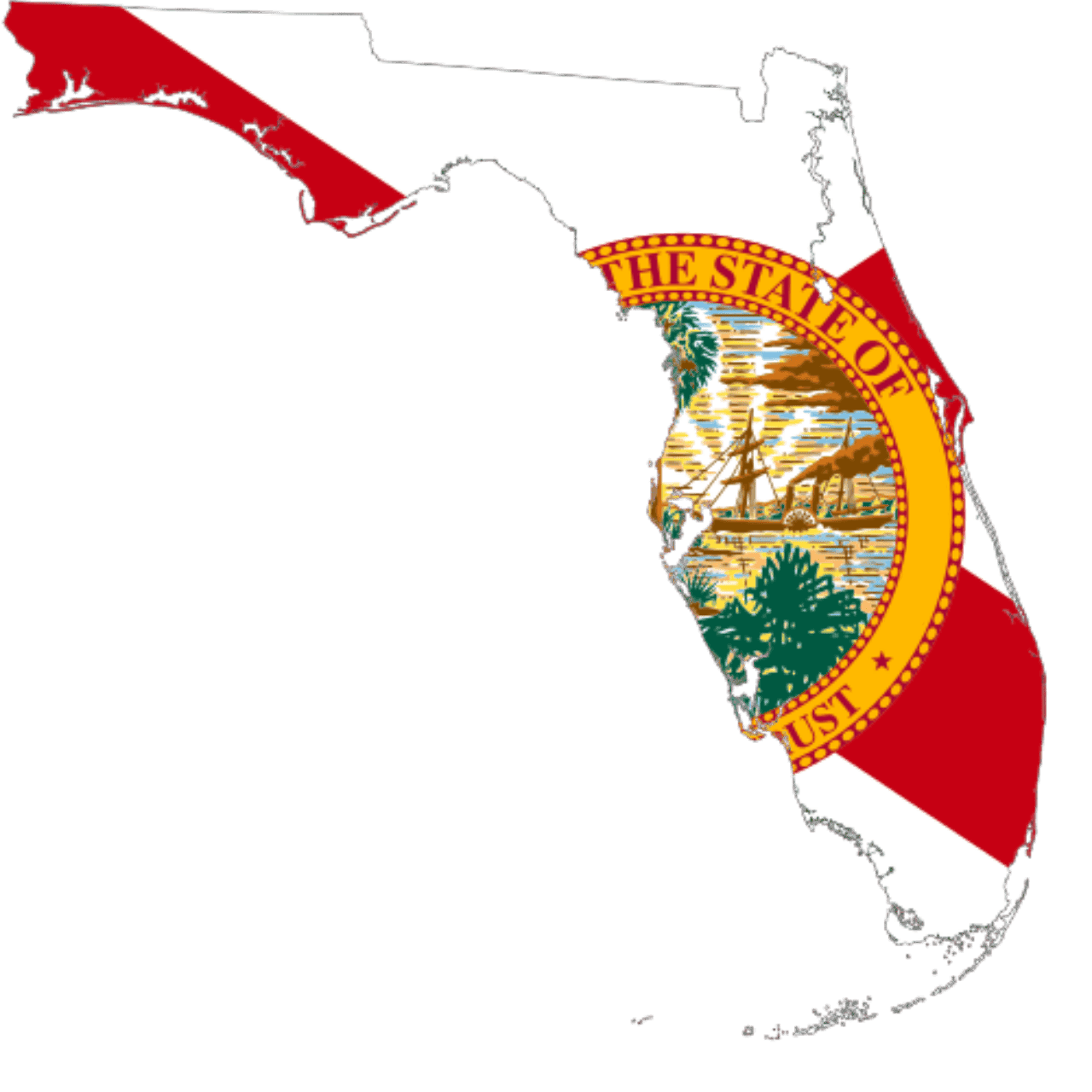 Florida Senate Election Winner