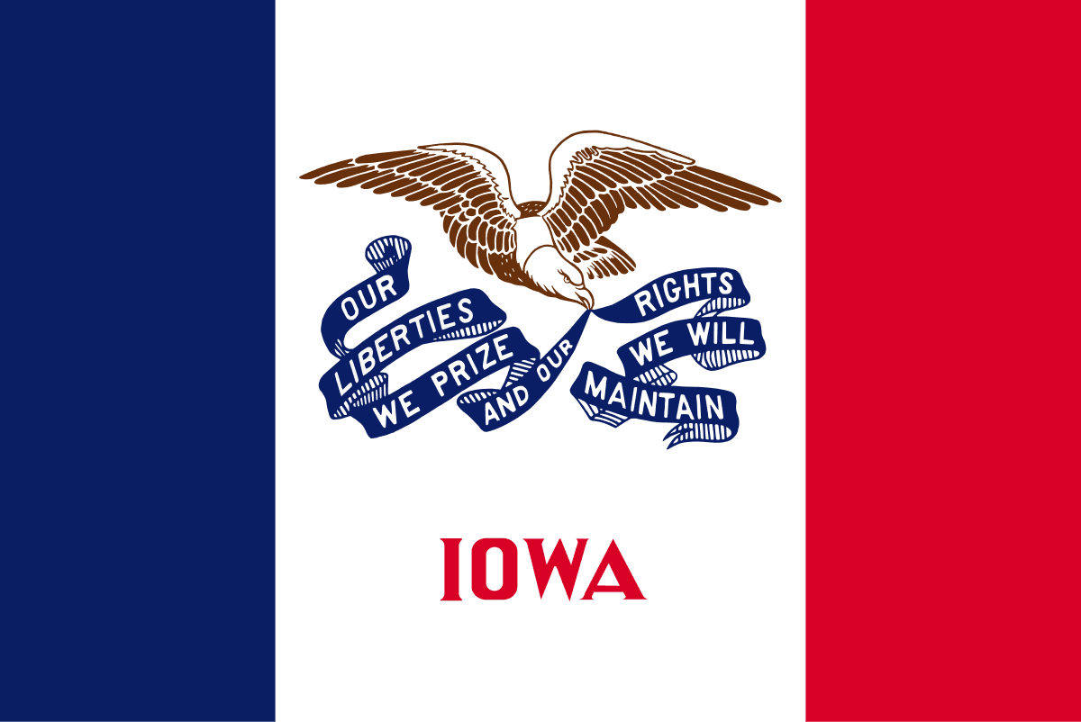 Iowa Democratic Senate Primary Winner