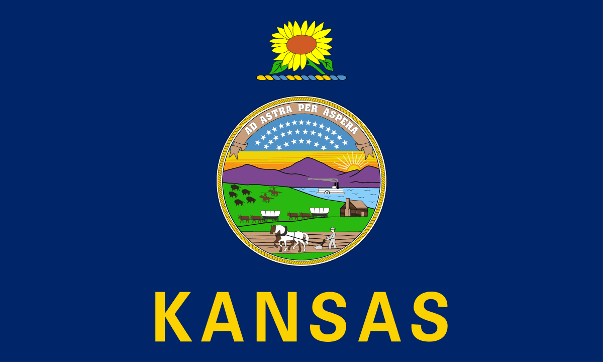 Kansas Democratic Senate Primary Winner