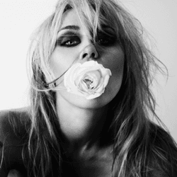 Miley Cyrus 'Bass Persuades' First Week Album Sales?