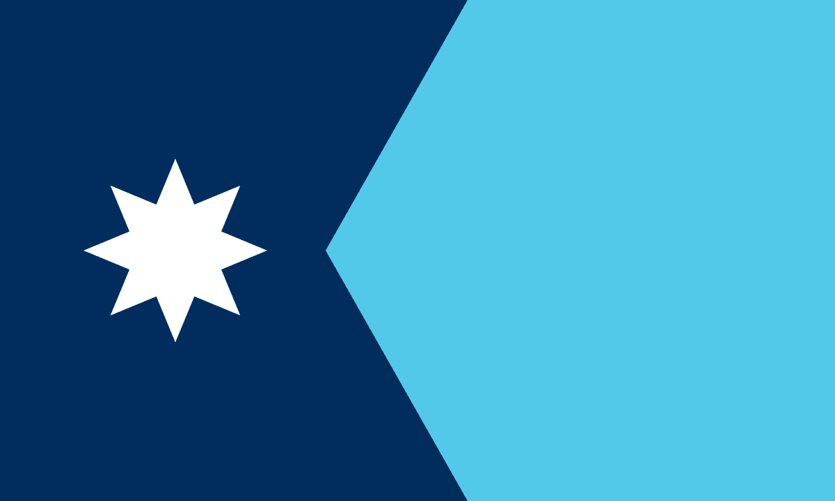 Minnesota Democratic Senate Primary Winner