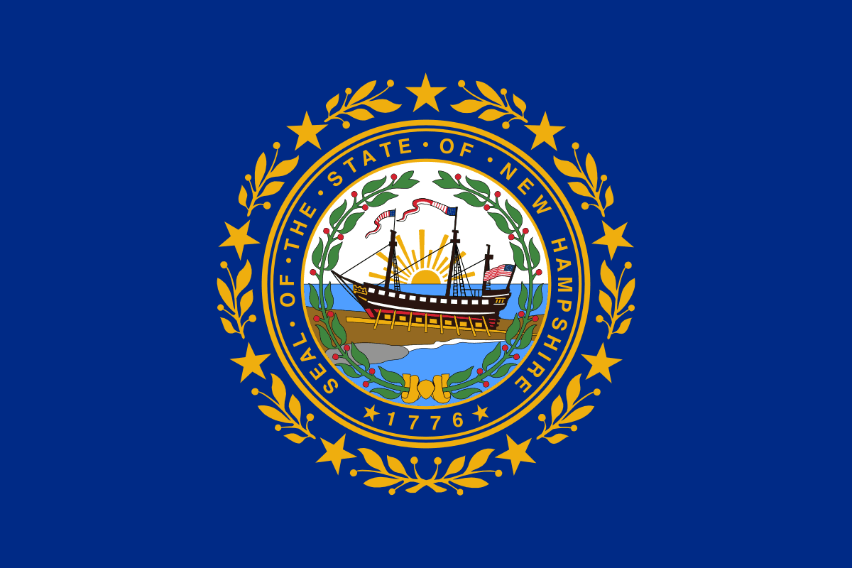New Hampshire Governor Democratic Primary Winner