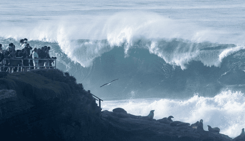 Highest sea level in San Diego this winter?