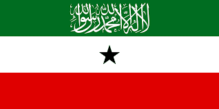 Somaliland Parliamentary Election Winner