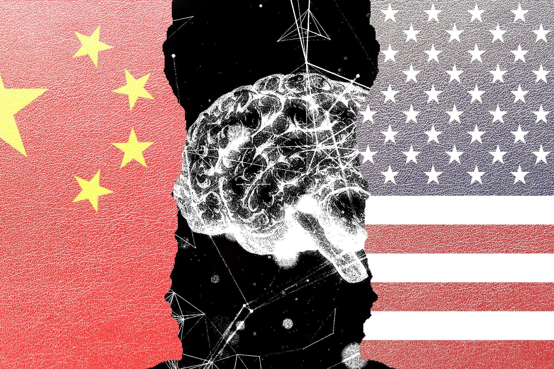 US Government removes public access to a major Chinese AI model in 2026?