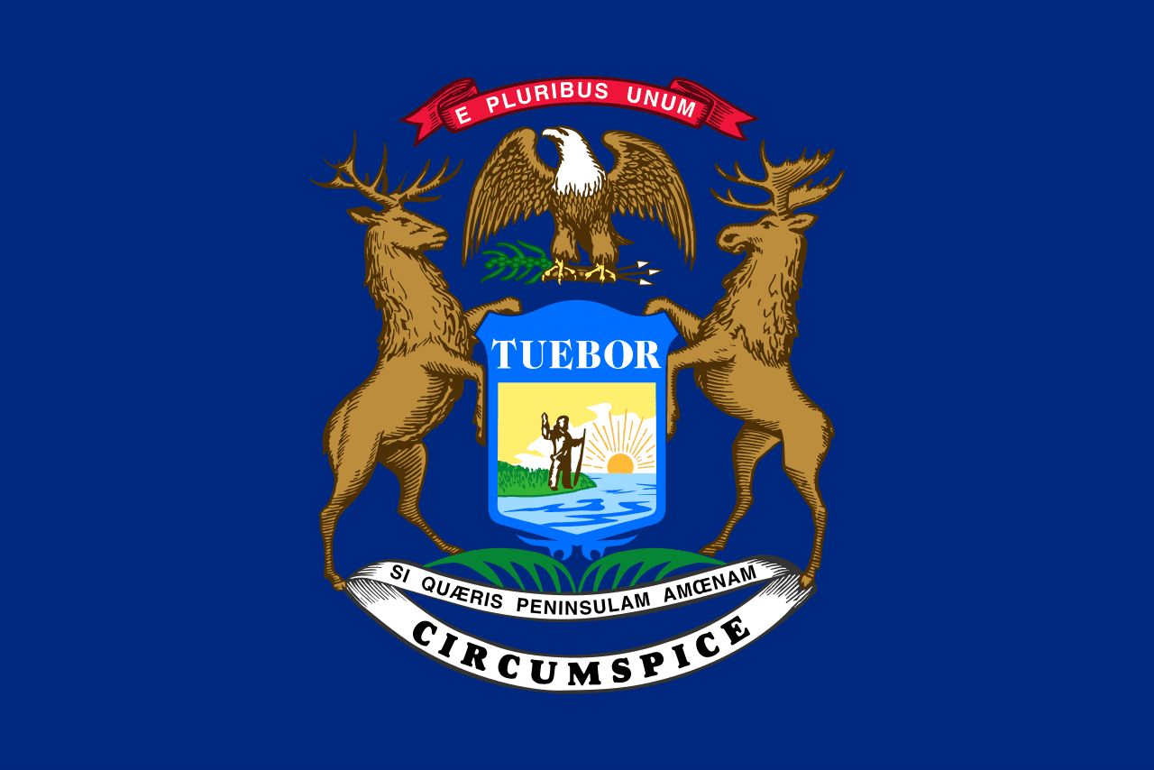 MI-11 Democratic Primary Winner
