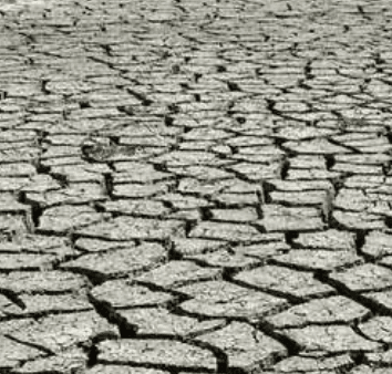Exceptional drought (D4) by state — week of September 15, 2026