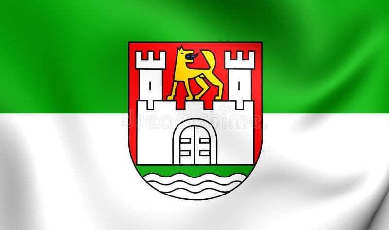 Wolfsburg Mayoral Election Winner