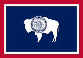 Wyoming Governor Republican Primary Winner